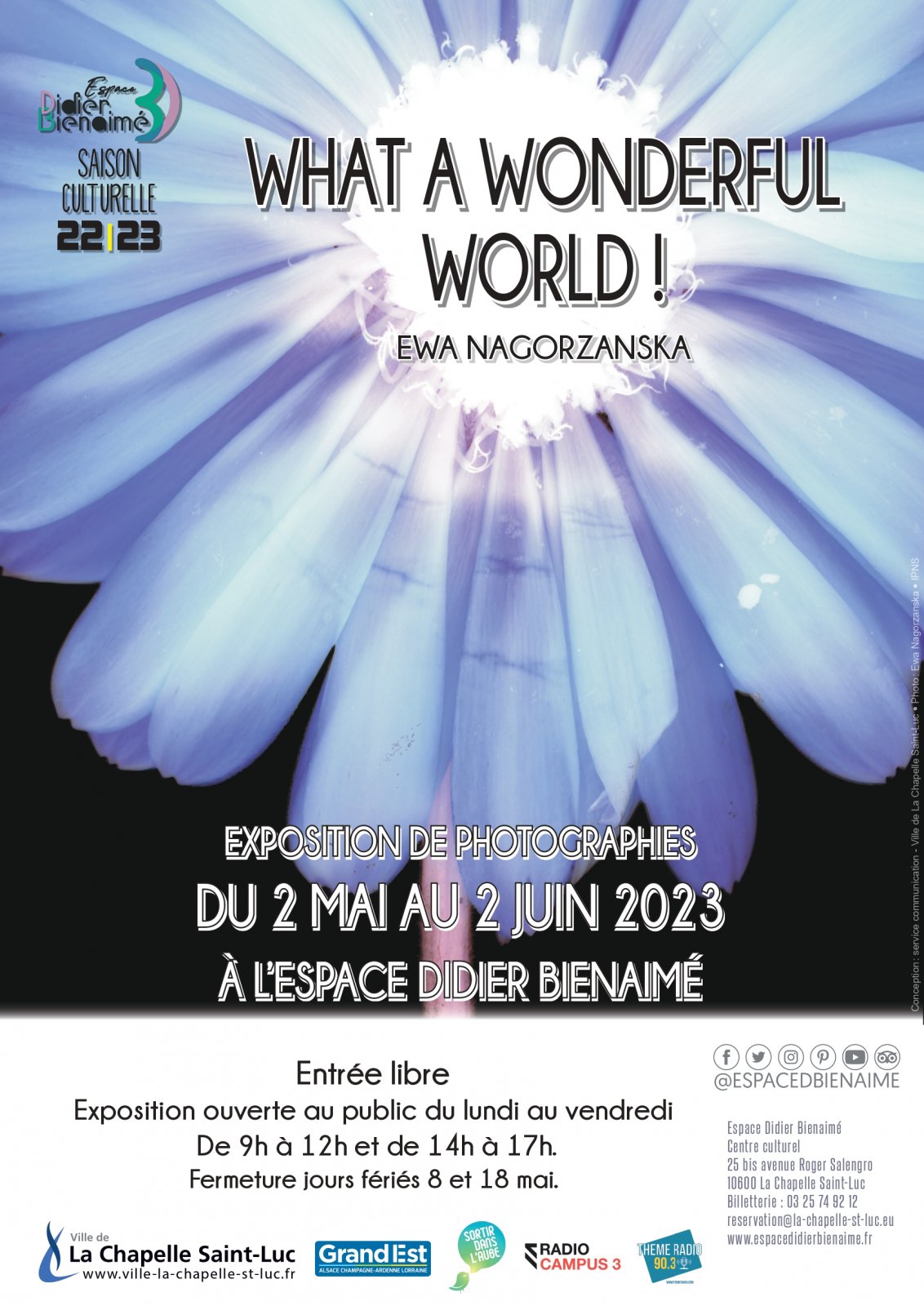 affiche_a3_what_a_wonderful_world.jpg